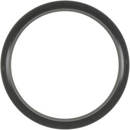 Engine Crankshaft Seal Kit - Rear